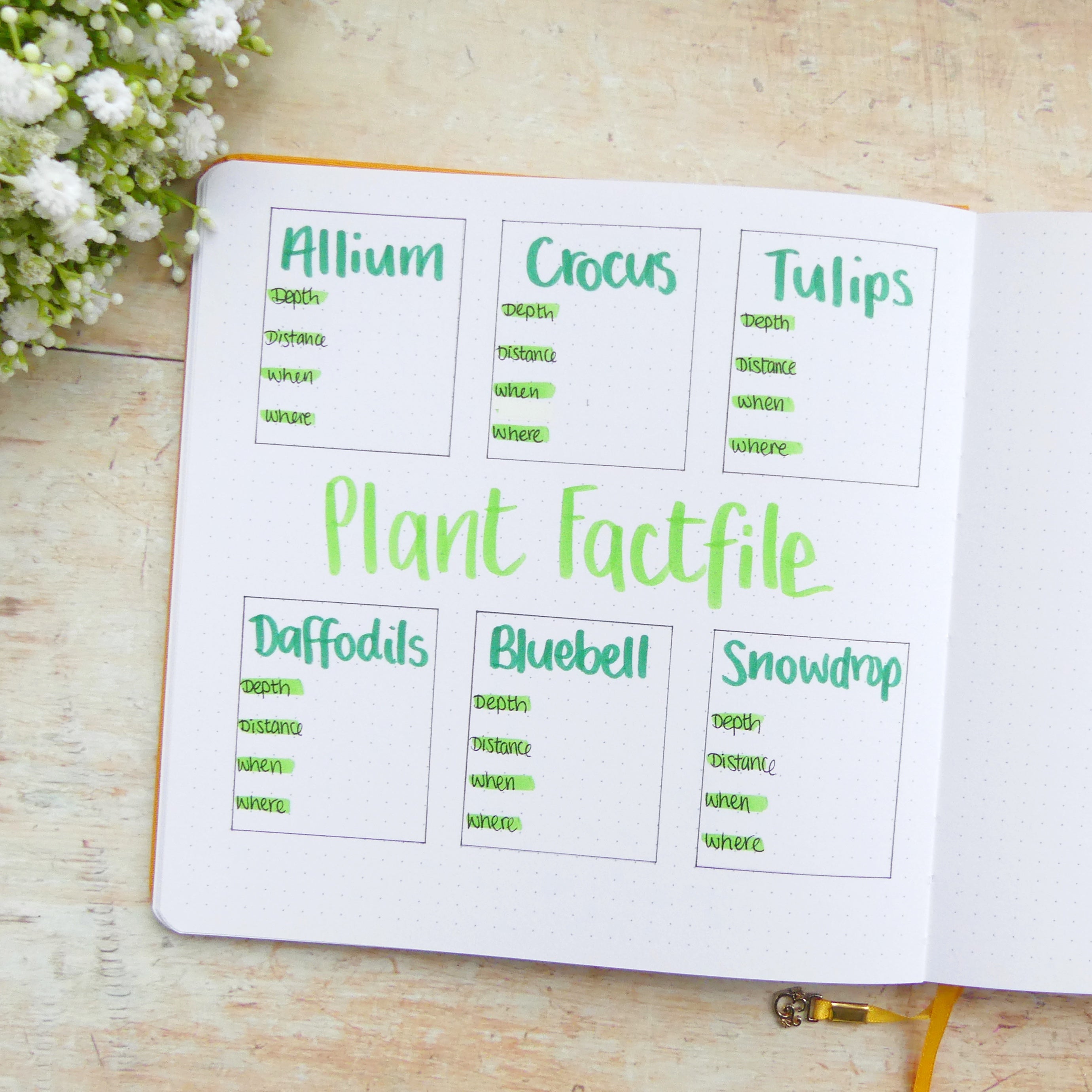 Open page with title Plant fact file and 6 boxes for plant notes