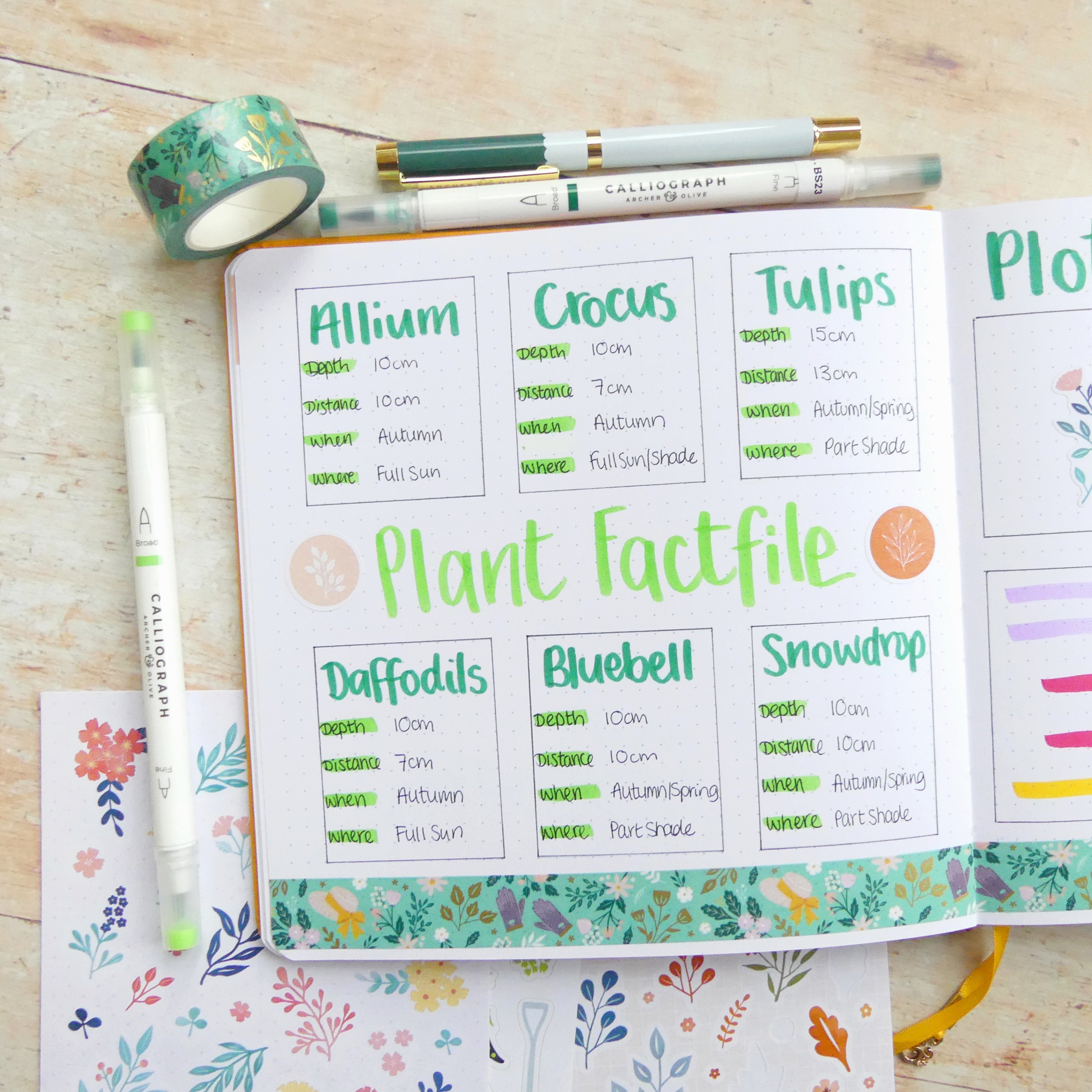 Finished plant fact file with washi and stickers added