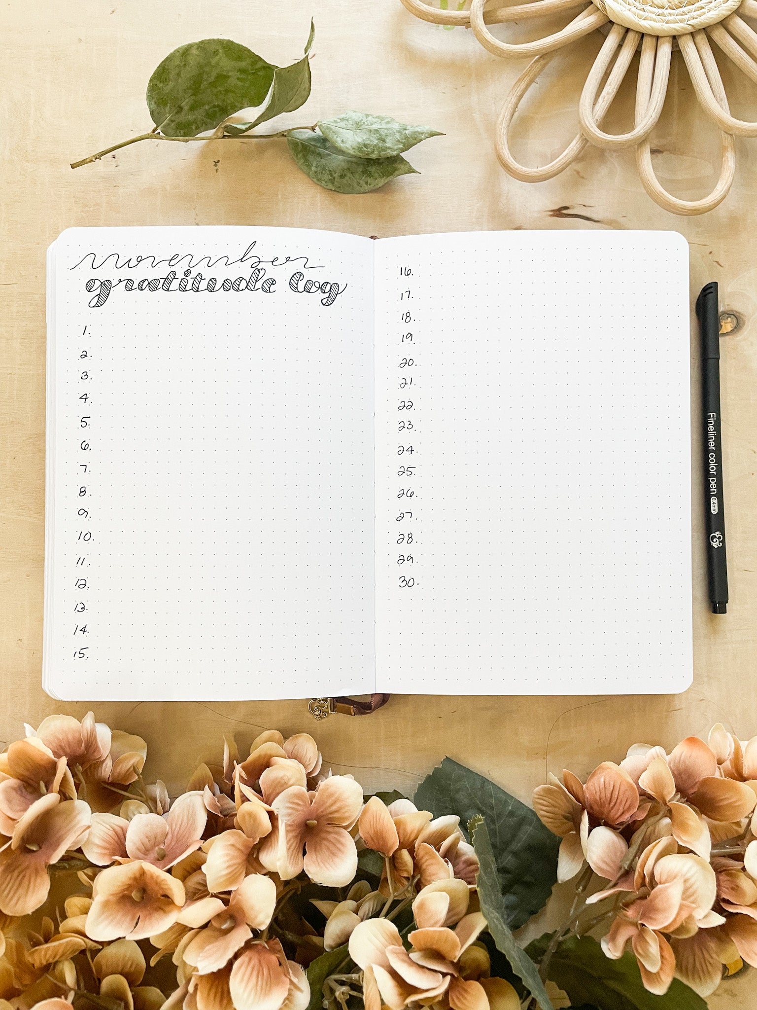 setting up gratitude log