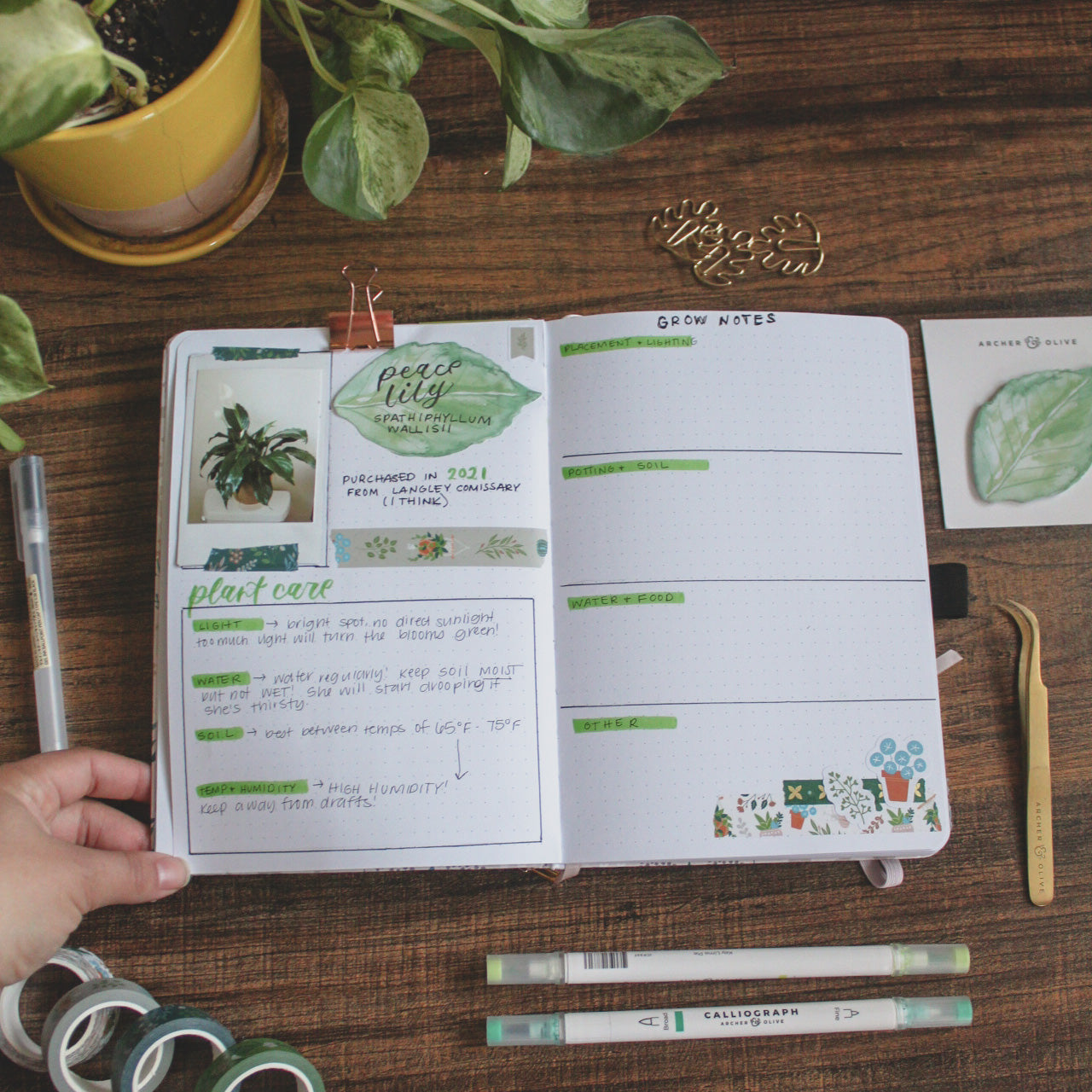 A dot grid notebook is lying open on a desk surrounded by plant-themed stationery products. On the pages is a plant care tracking spread for a peace lily houseplant.