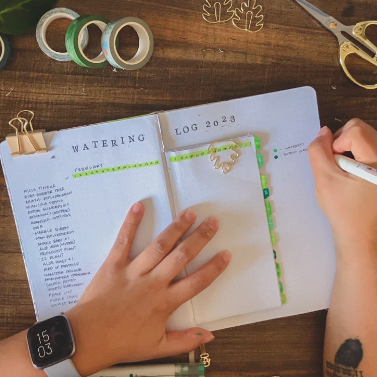 A dot grid journal is lying open with a dutch door spread and the title Watering Log. Emily is adding a key for bottom watering or regular watering her plants on the side. 