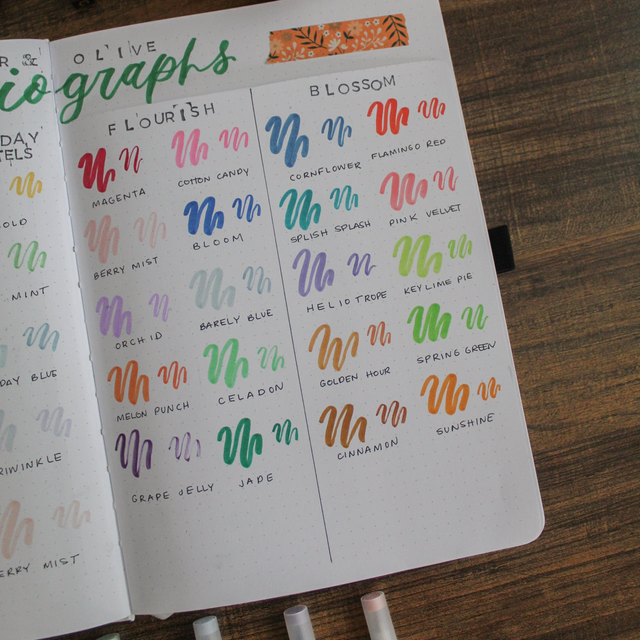A journal page with swatches of Archer and Olive calliograph pens.