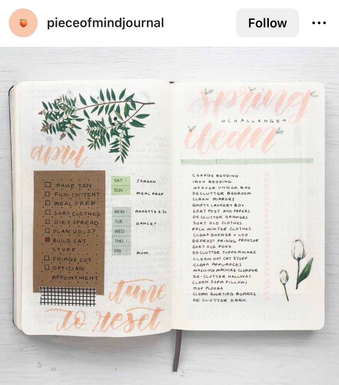 Pieceofmindjournal Spring Clean Instagram
