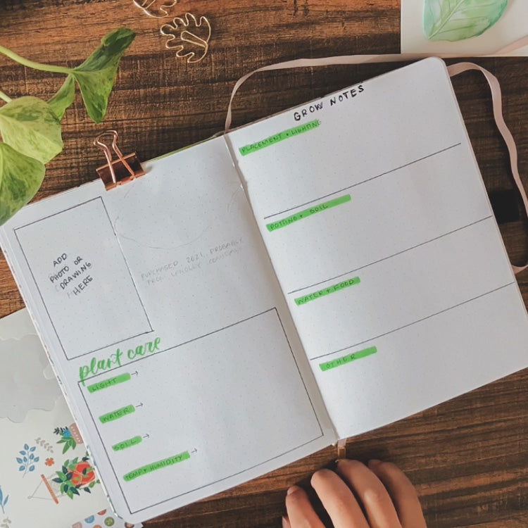 A white dot grid notebook is lying open on a desk surrounded by houseplant themed stationery products. On the page is a bullet journal spread for tracking plant care and growth.