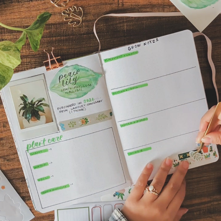 A white dot grid notebook is lying open on a desk, with a houseplant care and growth tracking spread created on the page. Emily is adding in some plant washi tape and plant stickers.