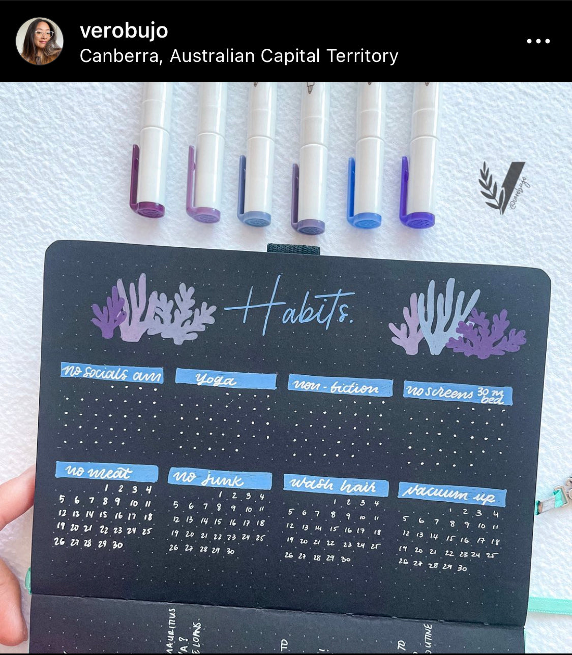 9 Best Bullet Journal Habit Trackers You Have to See Now!