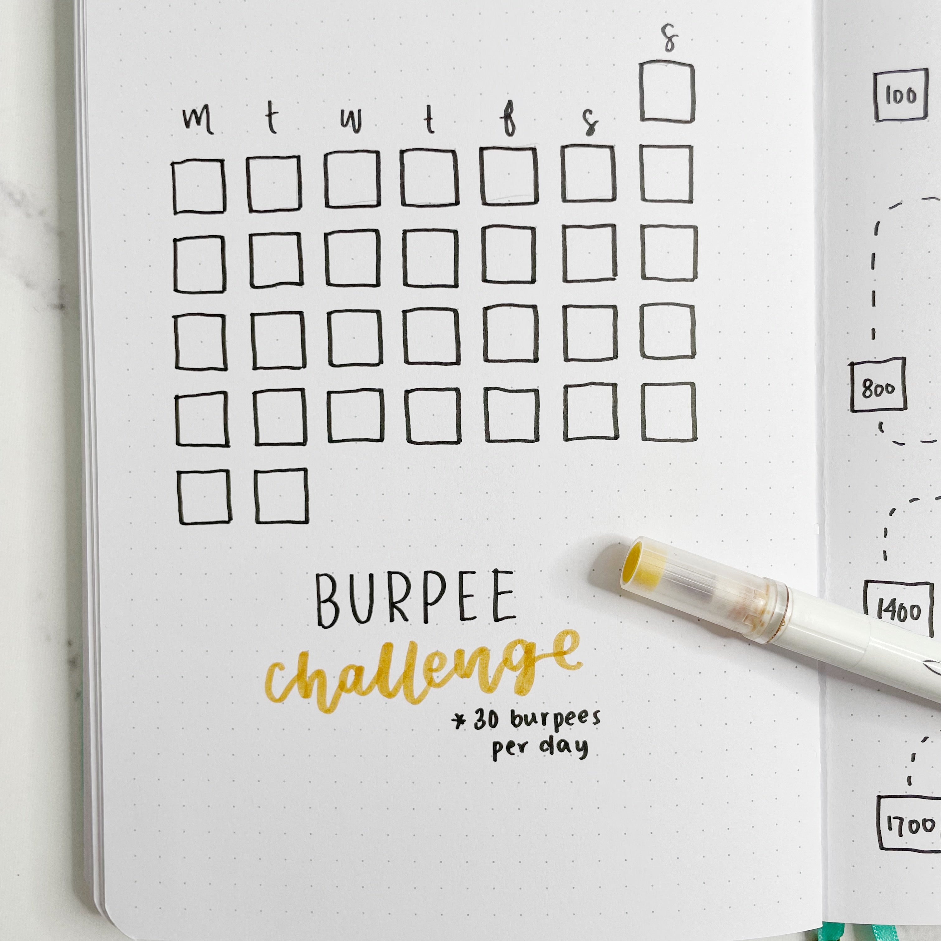 31 Monthly Boxes for Burpee Challenge