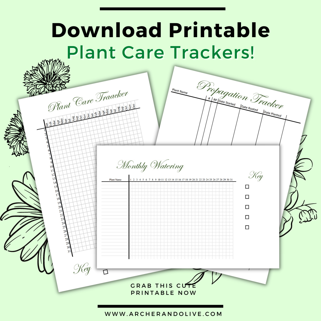 Plant Care printable