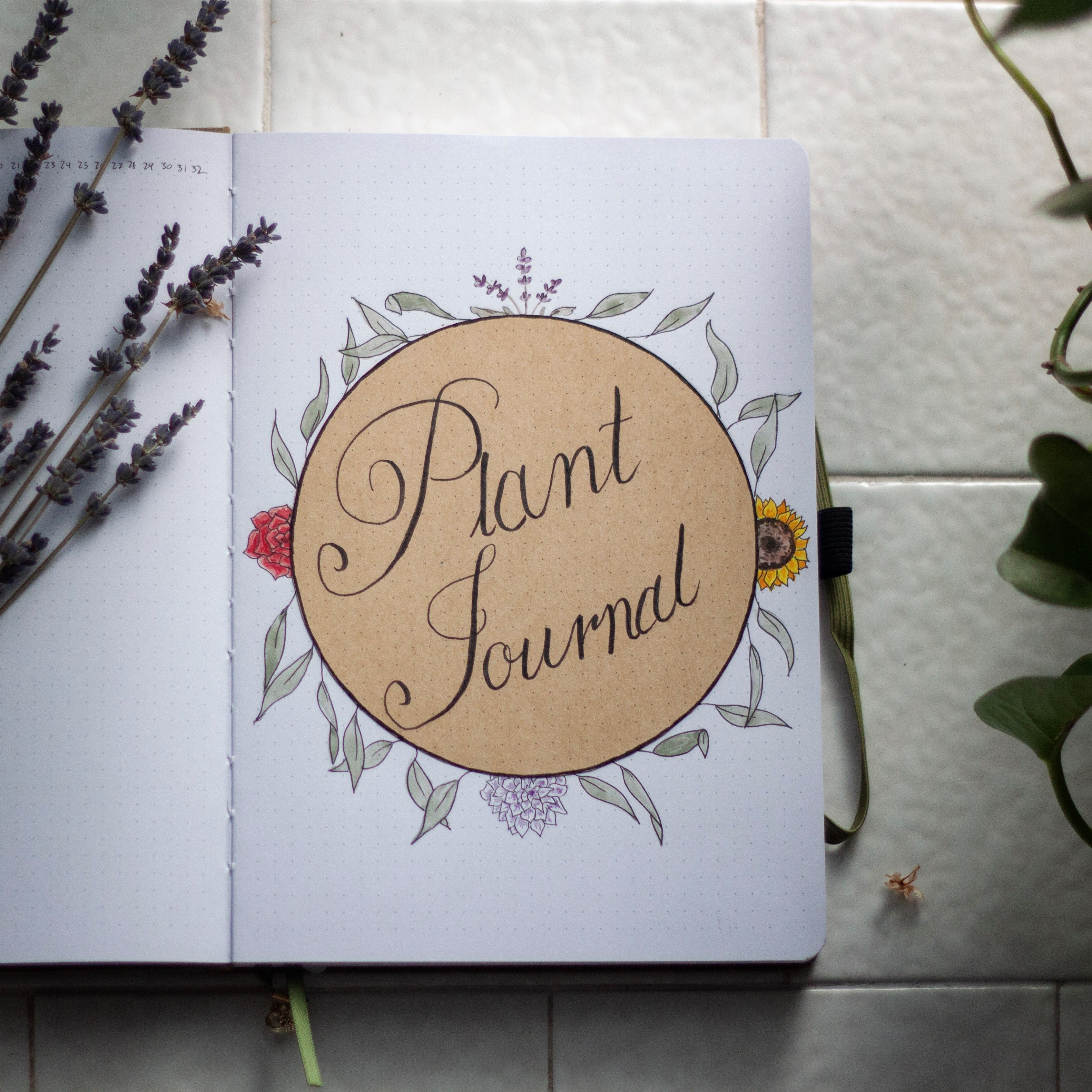 Plant Journal cover