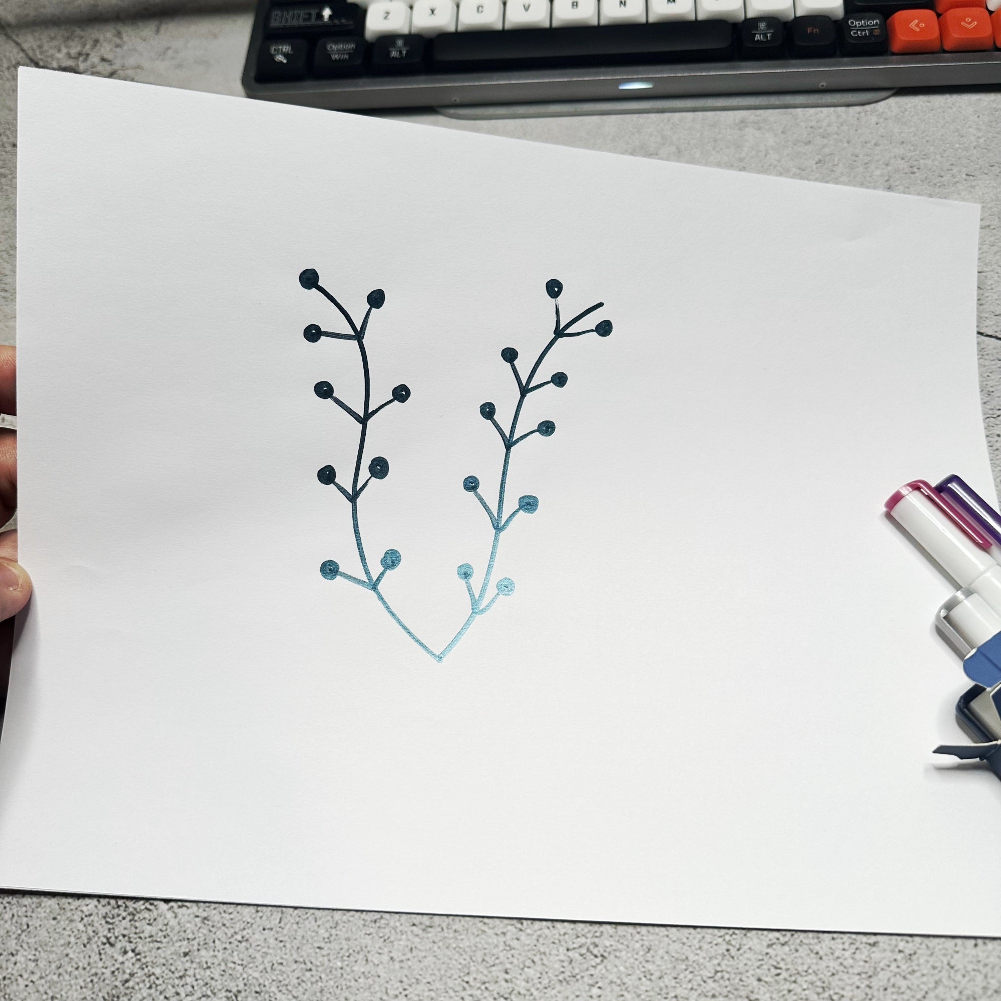 line botanical doodle