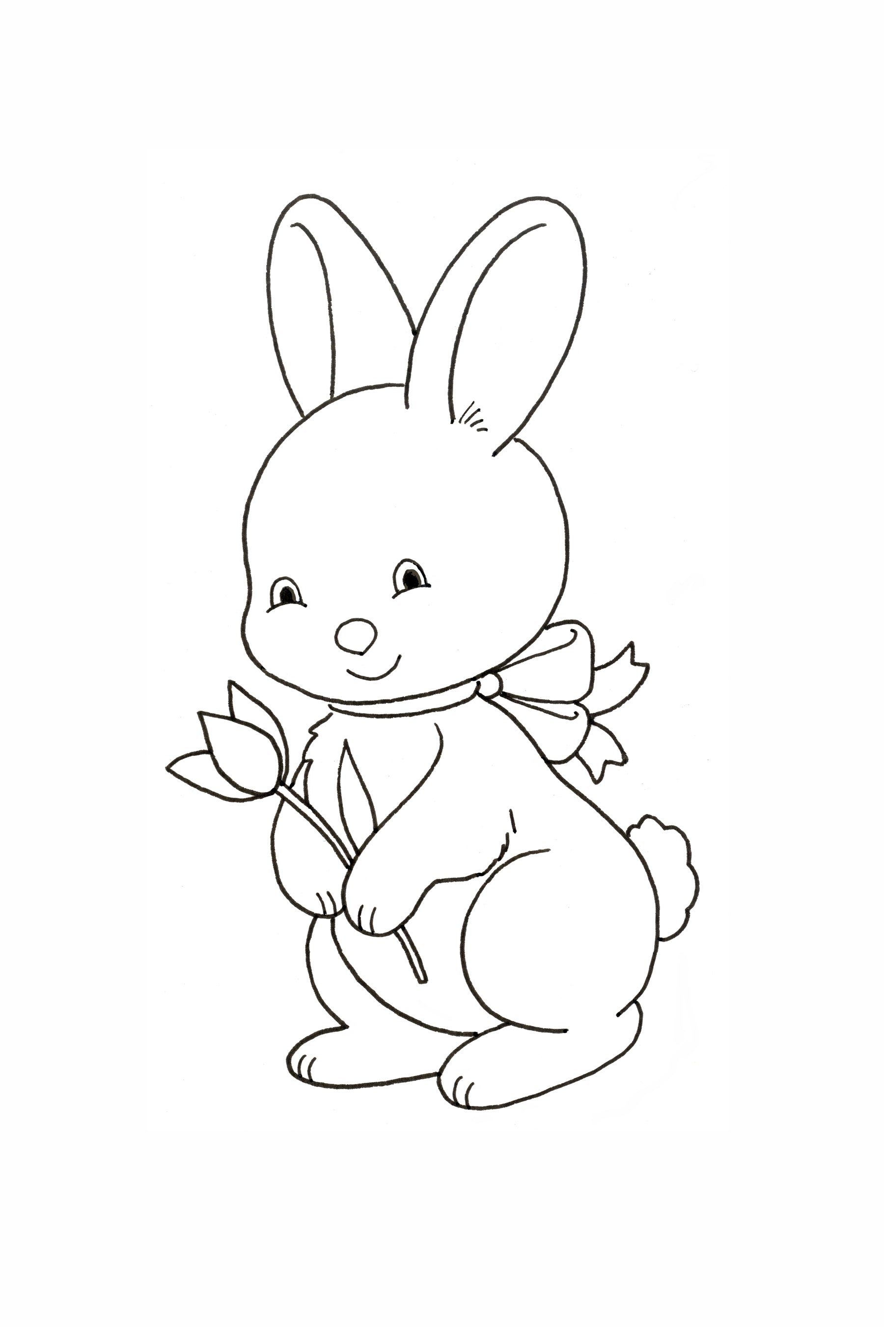 rabbit drawing step by step