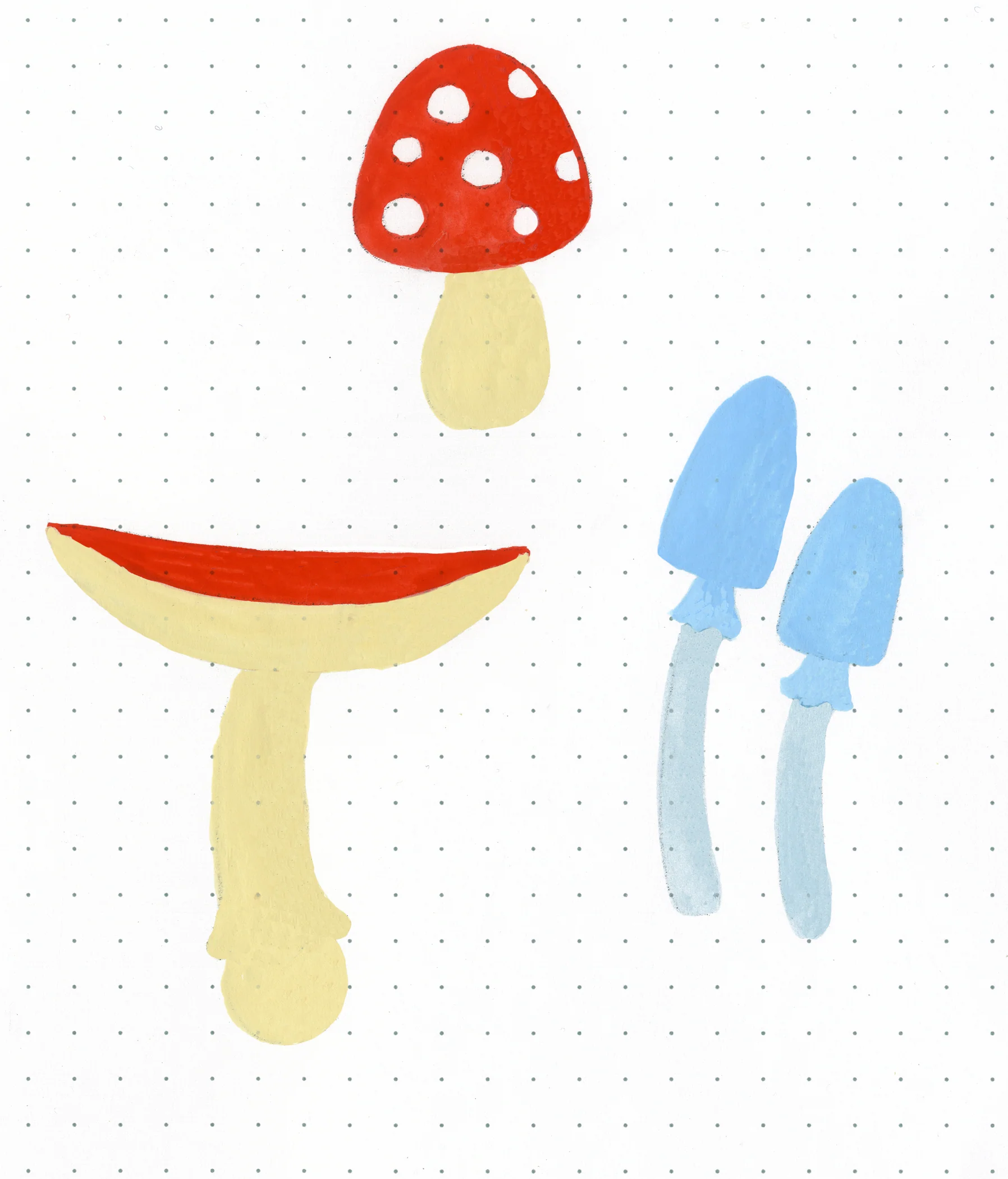 Mushroom base colors