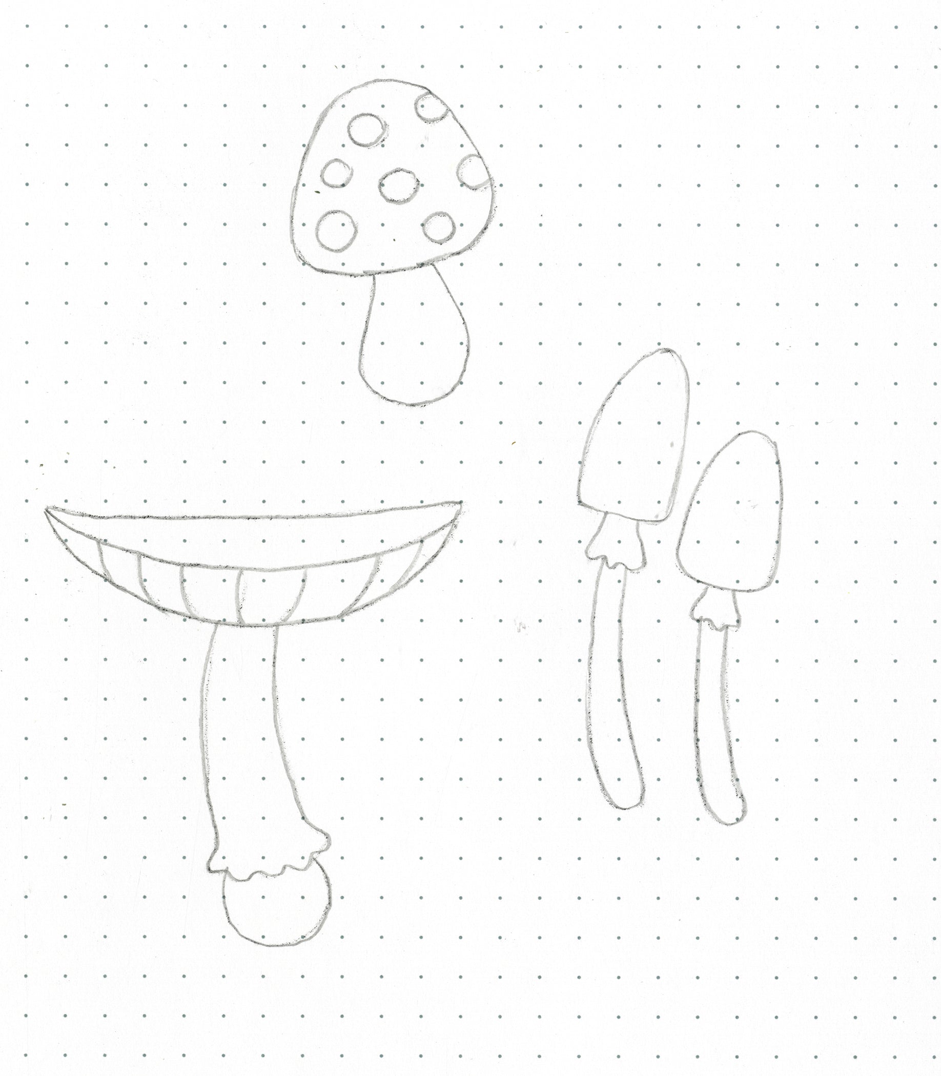 Mushrooms drawing