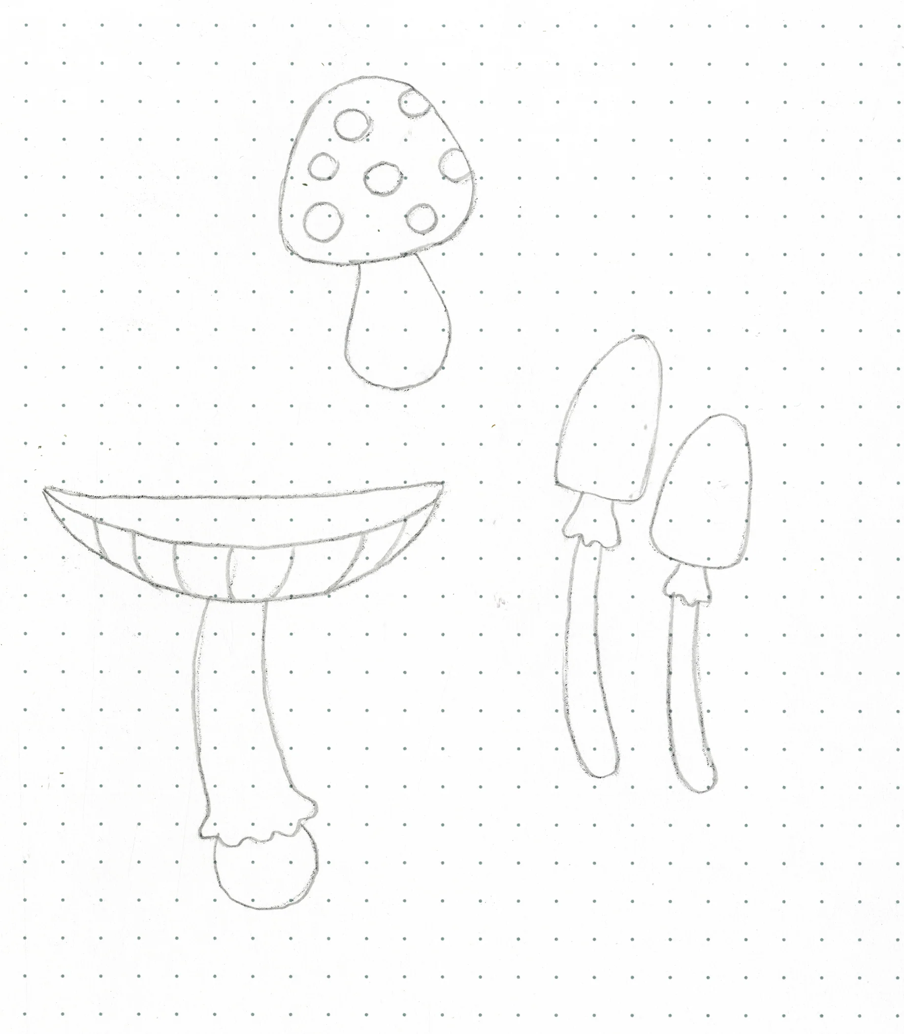 Mushrooms drawing