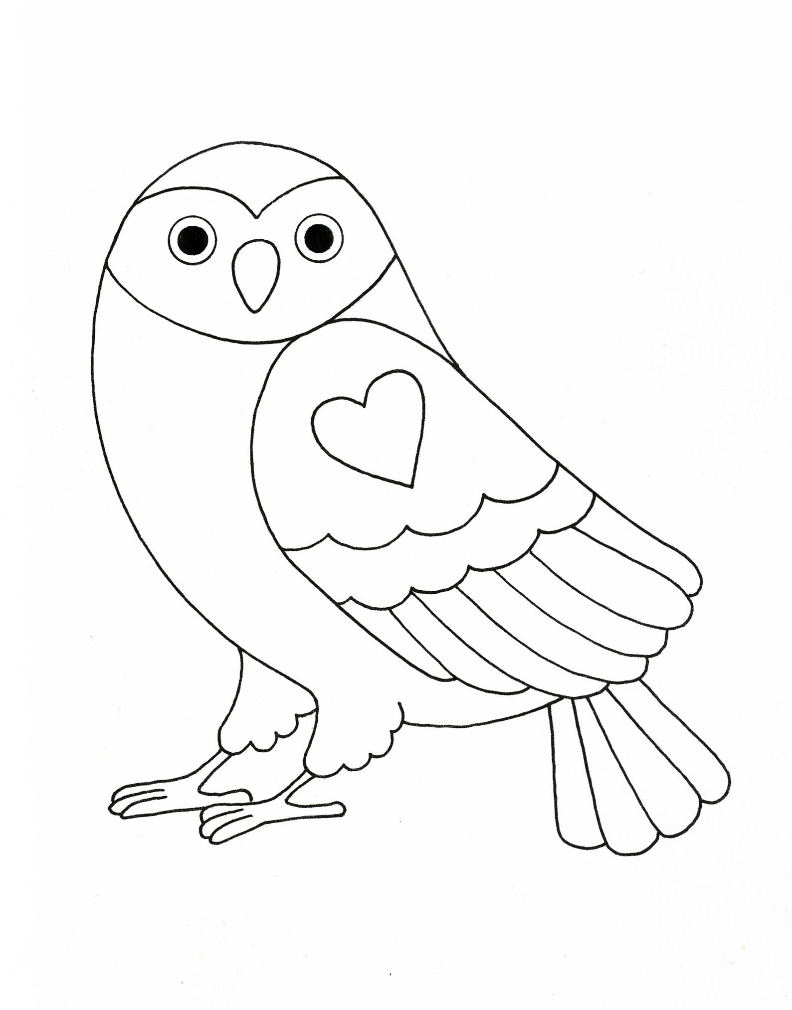 owl drawing