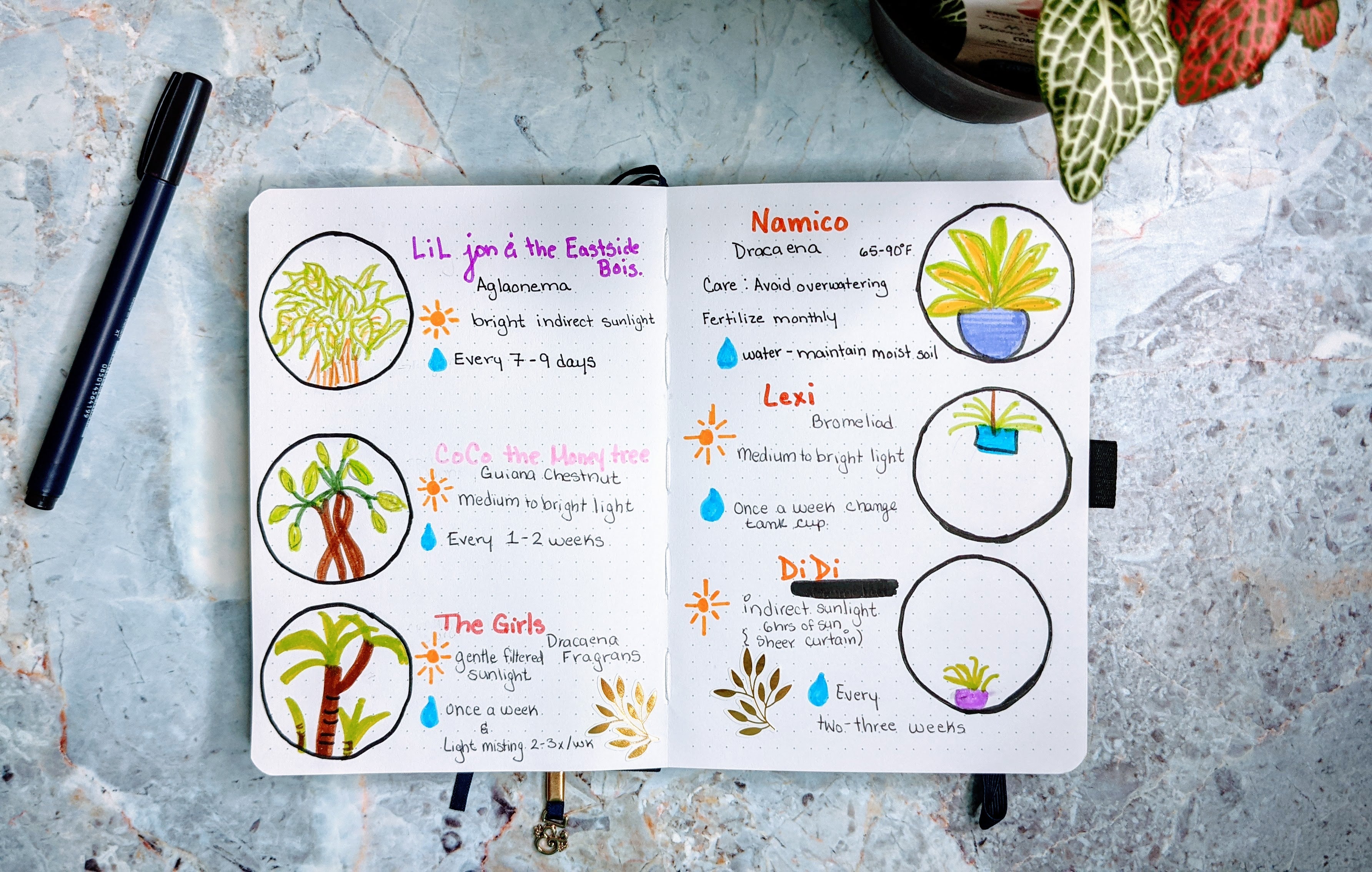 Wild Interiors — DIY: Bullet Journal Spreads for Plant Enthusiasts