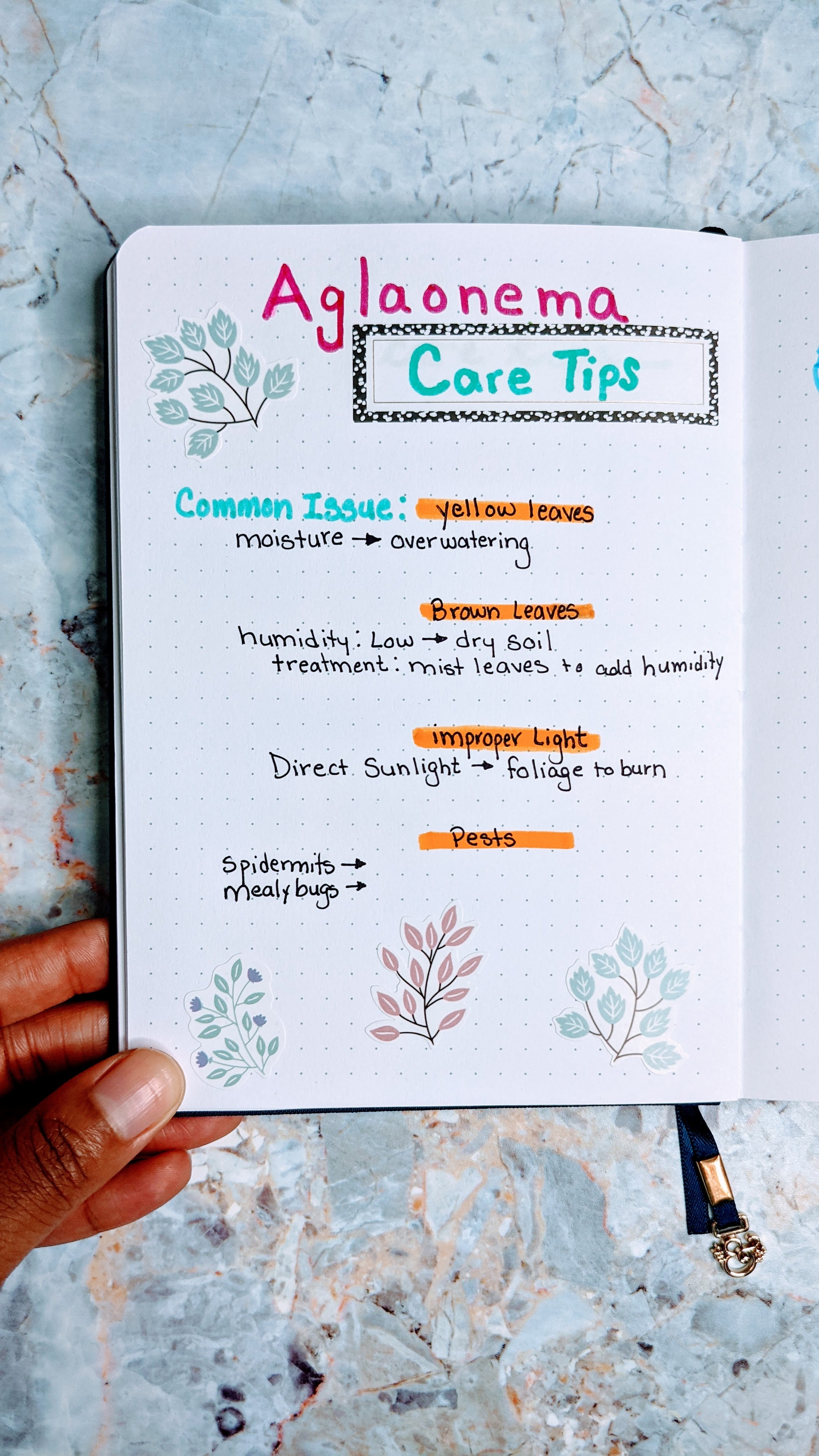 plant care tips