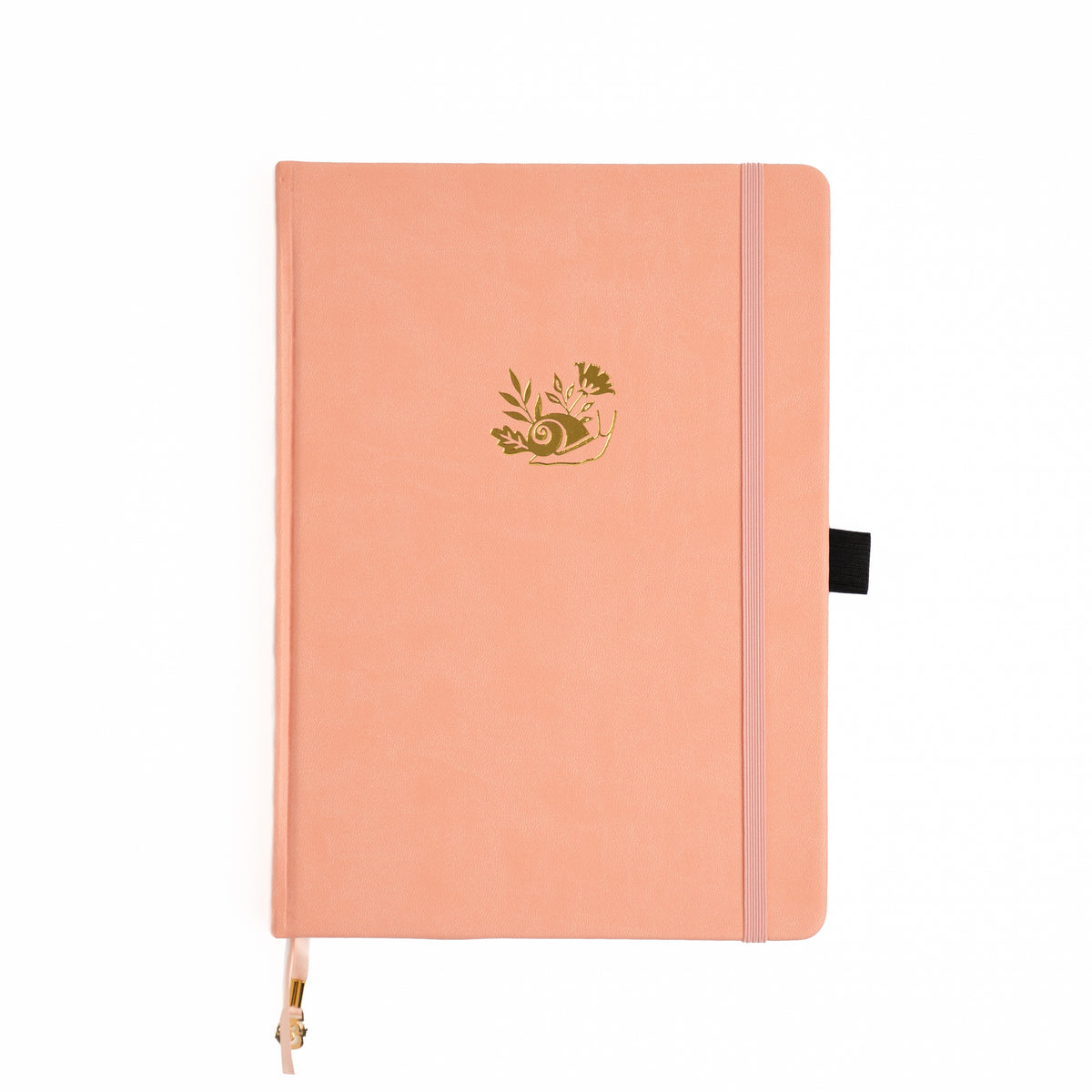 Archer and Olive Notebook - Snail Design