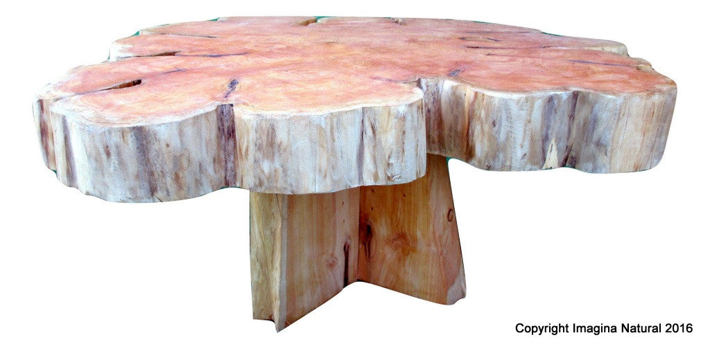 Large Cypress Handmade Tree Slice Slab Coffee Table Rustic Chilean L Imagina Natural