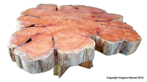 cypress slab coffee table