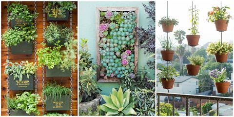 Ideas for vertical gardening