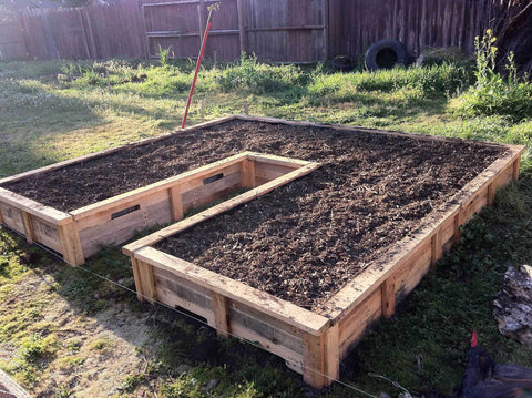 garden beds