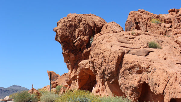 Valley Of Fire Elephant Rock