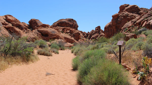 Valley Of Fire State Park