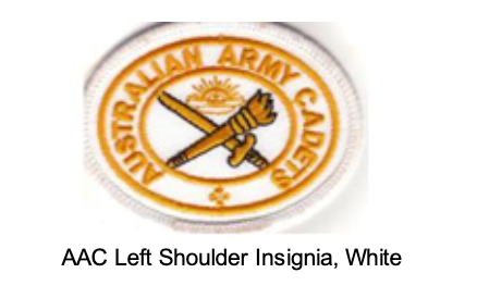 Army White Shoulder Patch Embroidered Military Patch and Badges 