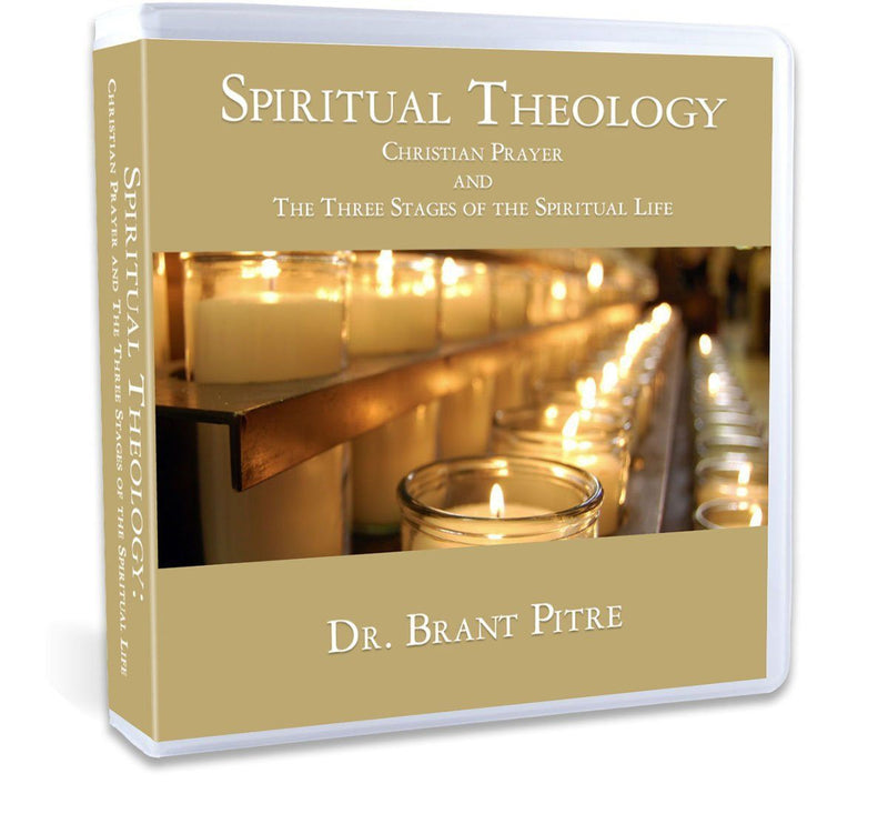 spiritual theology diogenes allen chapter summary