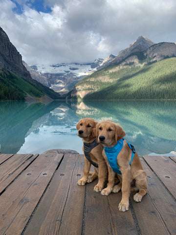 Lake Louise, Outblog by The Great Outdogs @you.me.andthe.skoolie