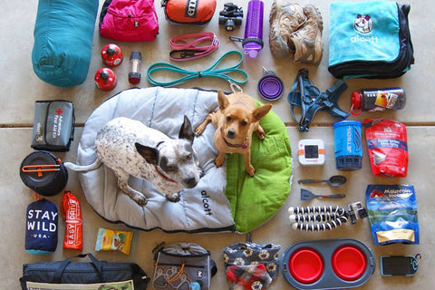 Is It Immoral to Use Pack Animals for Trekking?