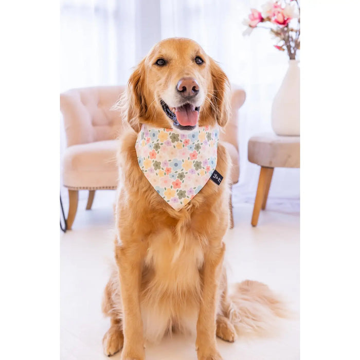  Dog Bandana, Bumble Bees, Traditional Tie