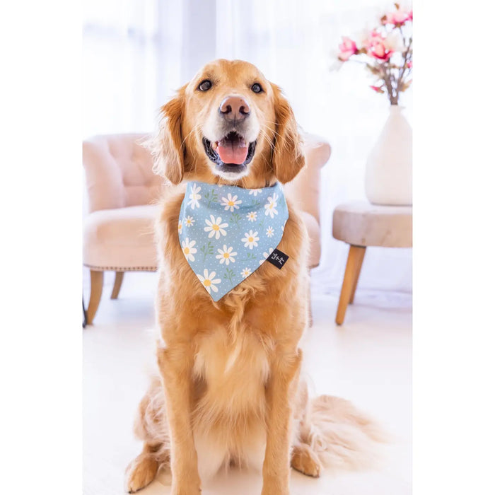 Honey Comb & Bees Dog Bandana