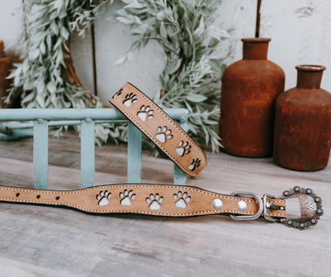Distressed Leather Cowhide Paw Print Dog Collar The Cinchy Cowgirl