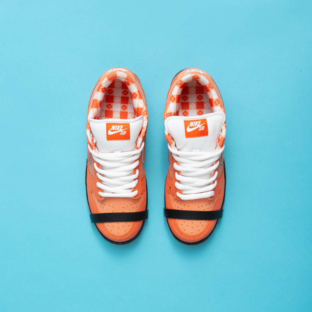 dunk low orange lobster