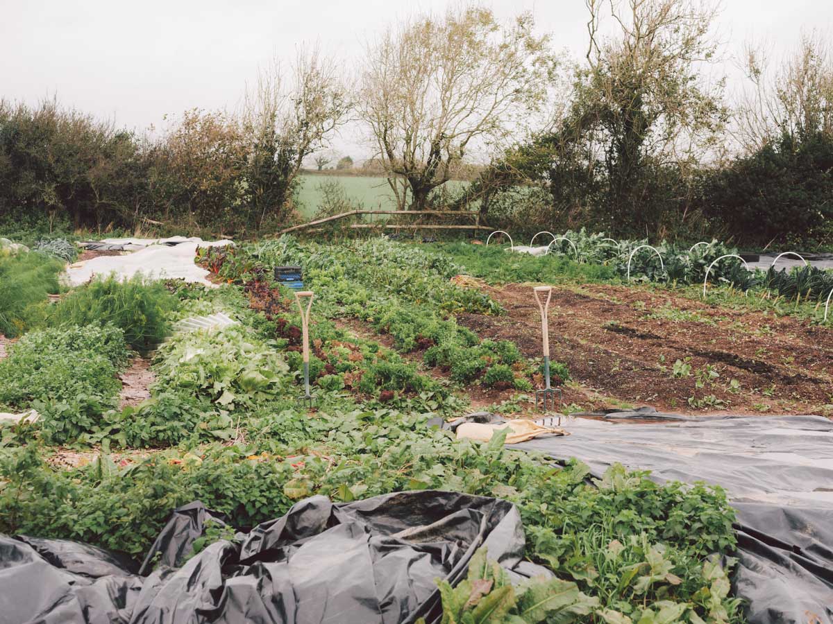 Outside Devon Farm