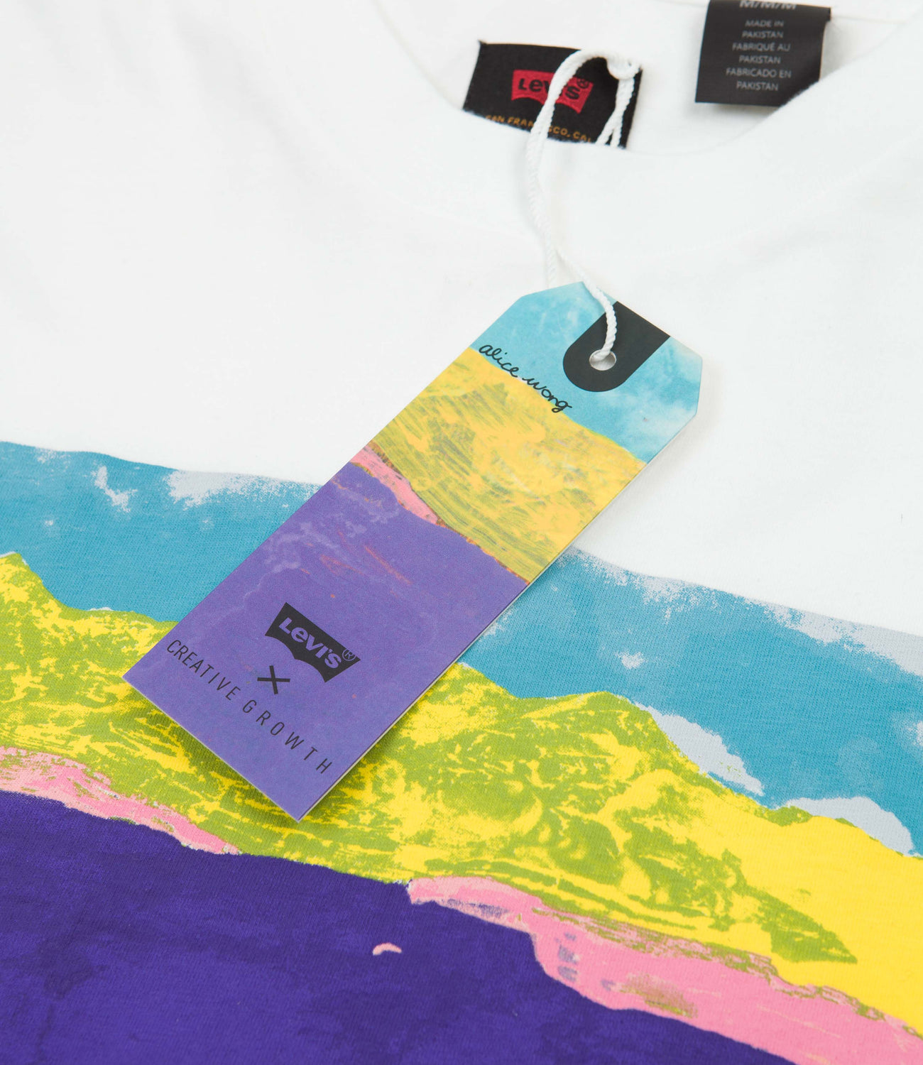 Levi's® Skate Graphic Box Long Sleeve T-Shirt - Painted Landscape / Wh |  Flatspot