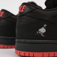 black pigeon shoes