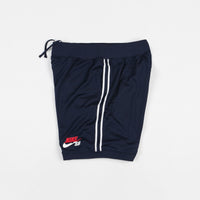 nike sb court shorts