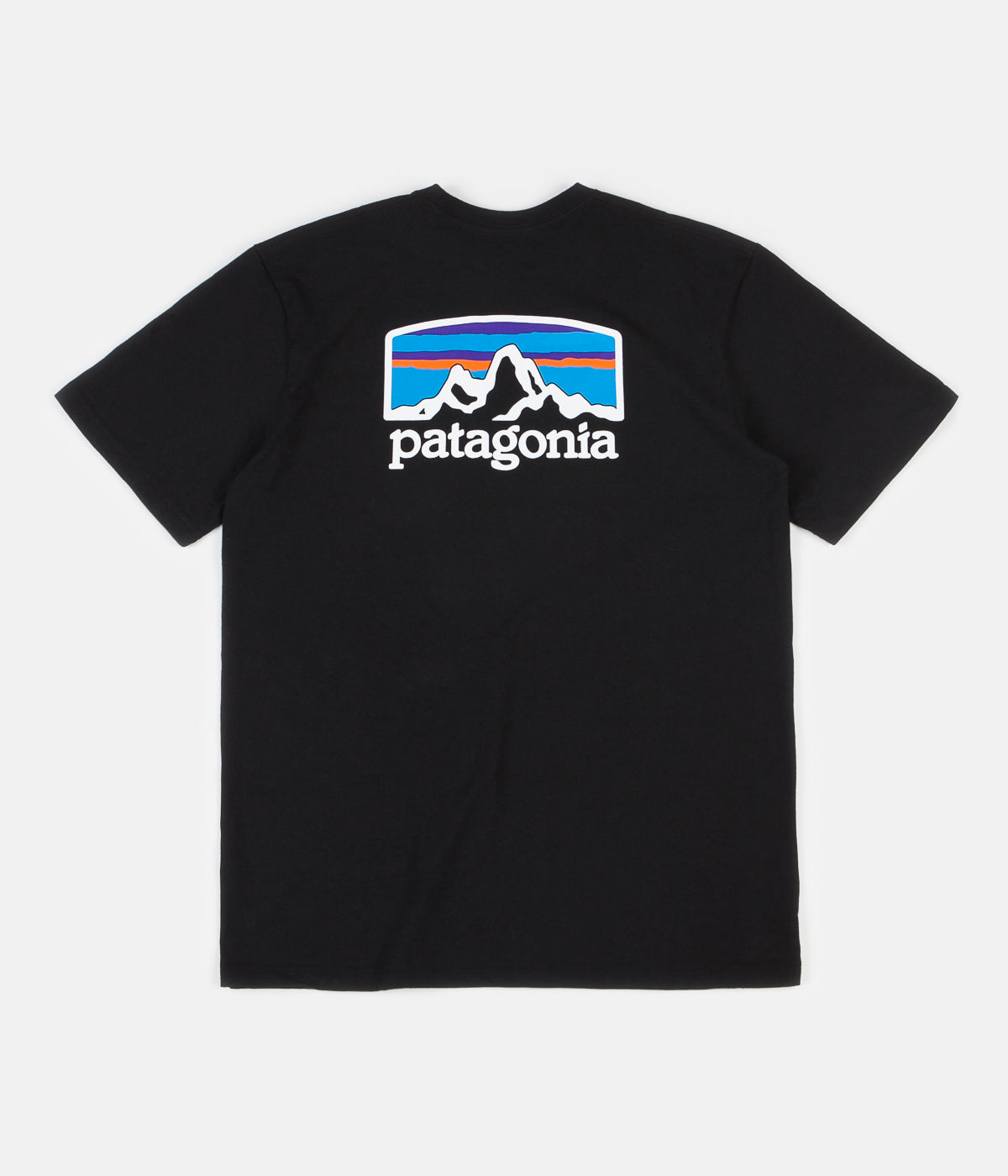 patagonia fitz roy van t shirt