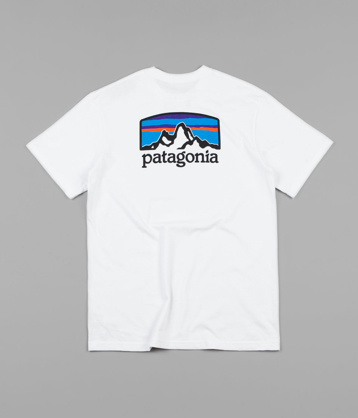 patagonia fitz roy van t shirt