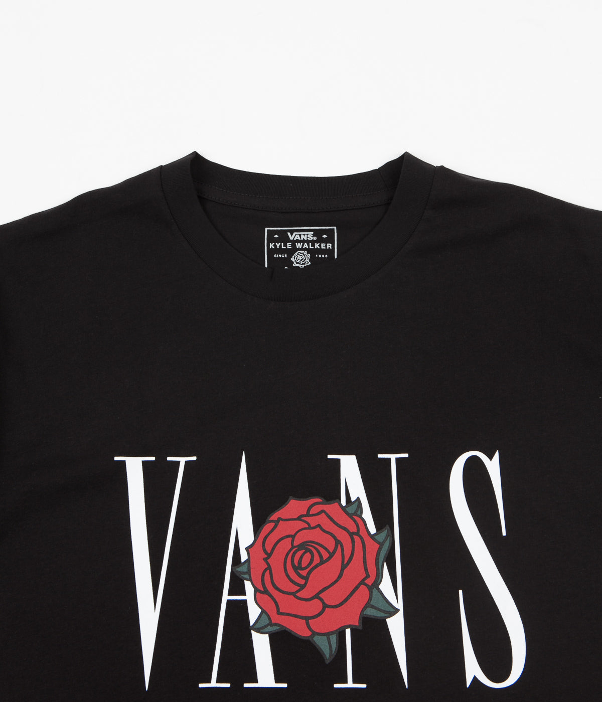 vans rose background