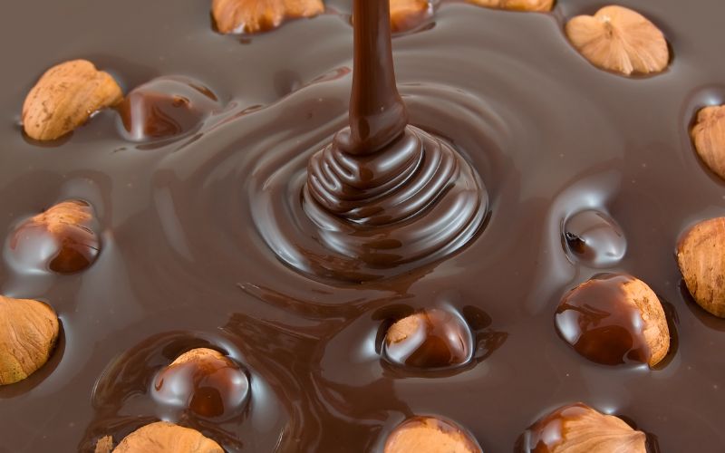 hazelnuts in chocolate