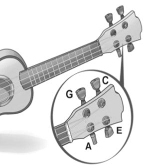 notes on ukulele headstock