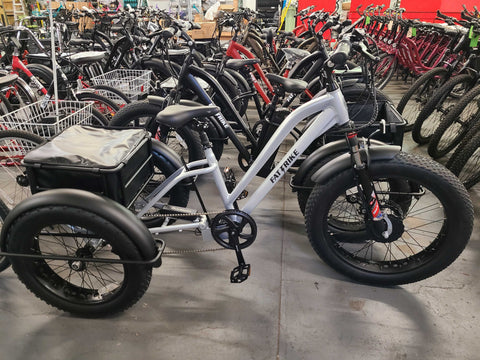 Electric Fat Trike