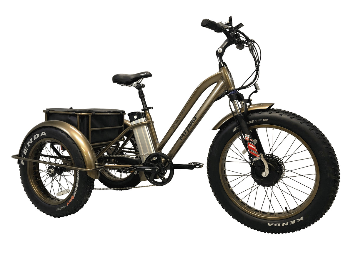 tylenol electric trike