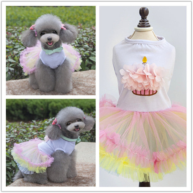 pet dress teddy pet new personality colorful cake skirt than bear clothes tide