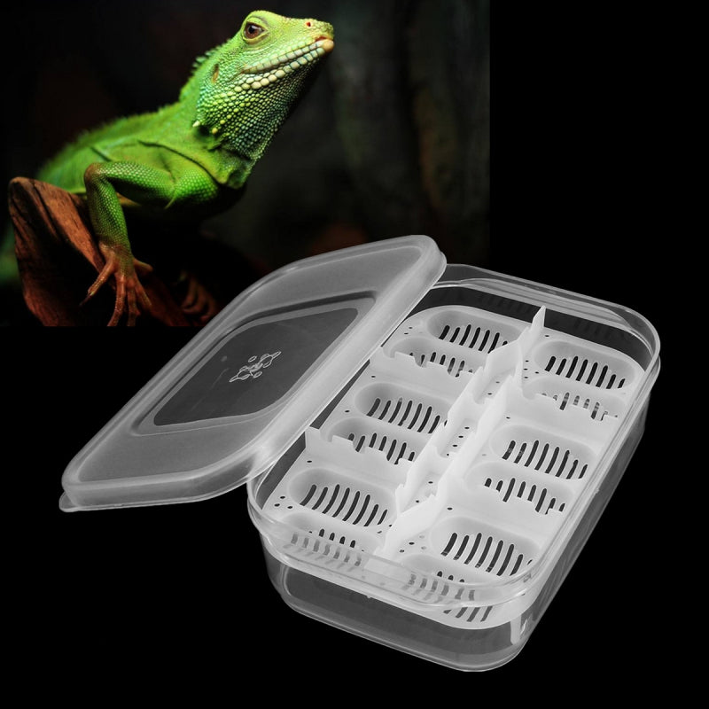 gecko egg incubator