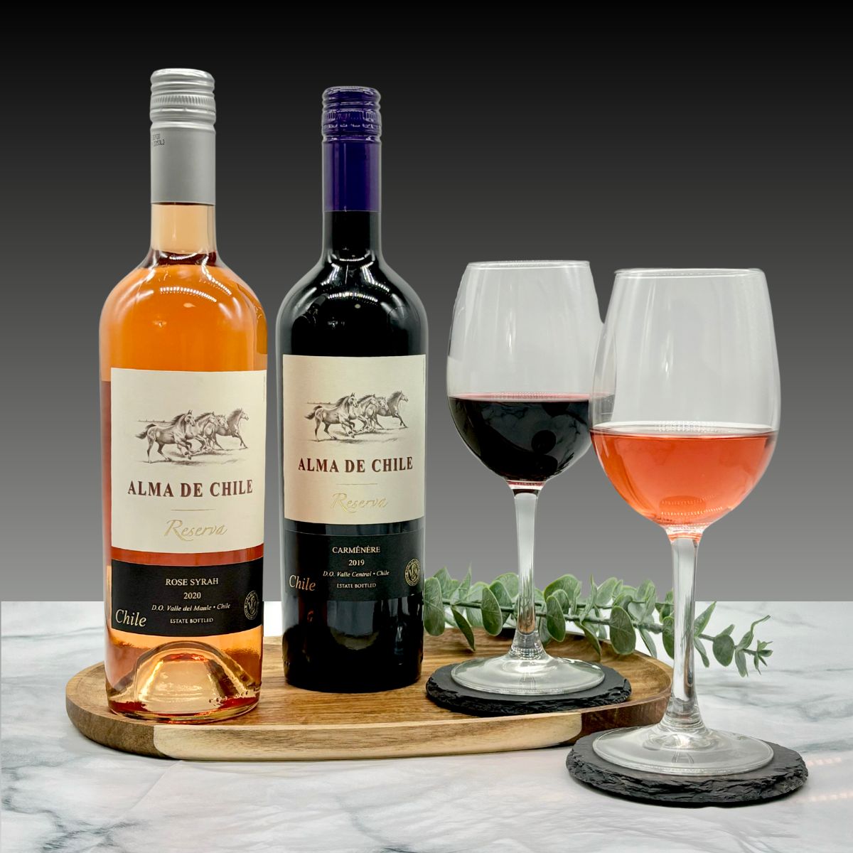 Alma de Chile Carmenere Reserva & Syrah Rose Wine Duo Gift Set
